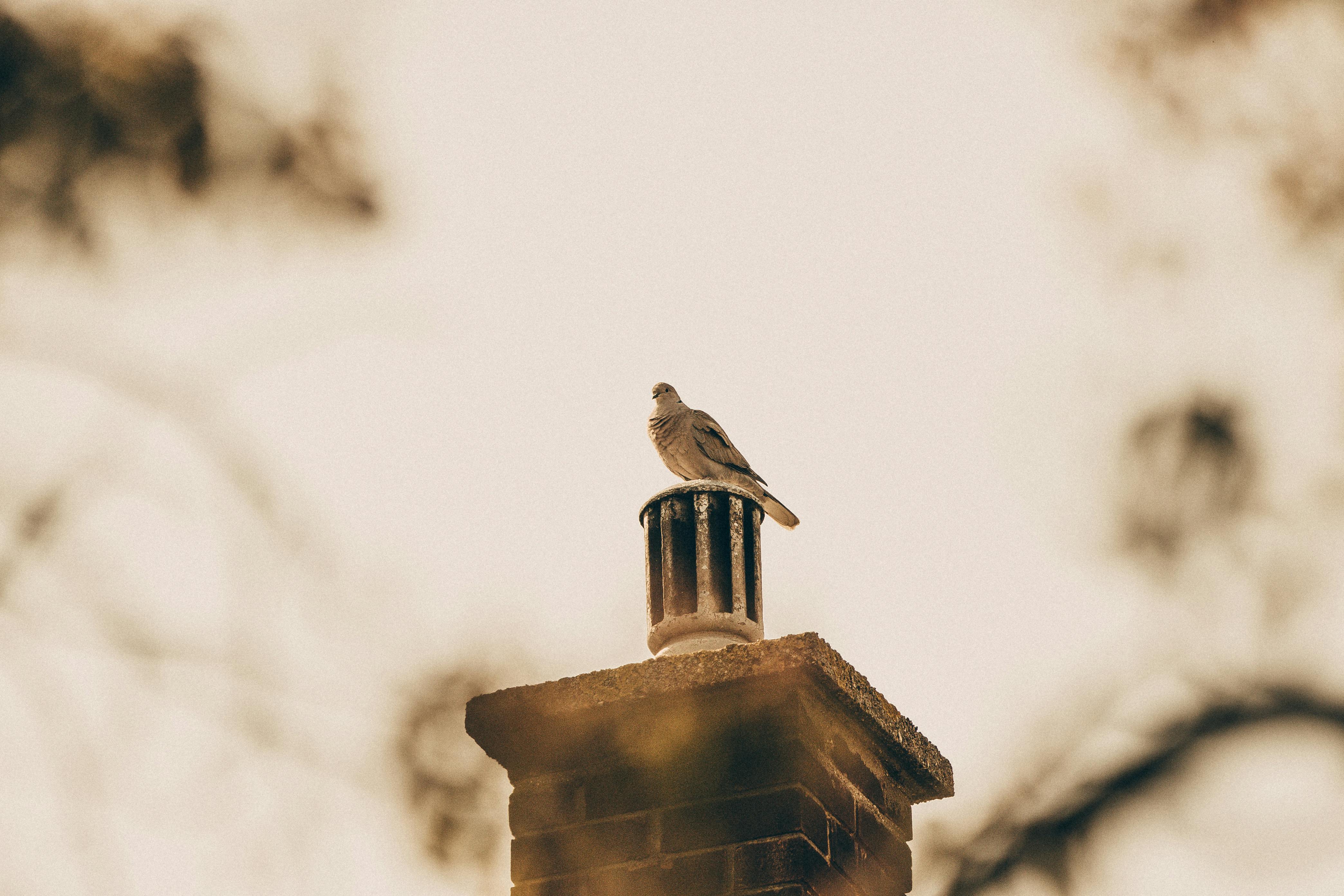 Professional Chimney Cap Installation Services in White Settlement, TX Expert Chimney Cap Installation in White Settlement, Texas